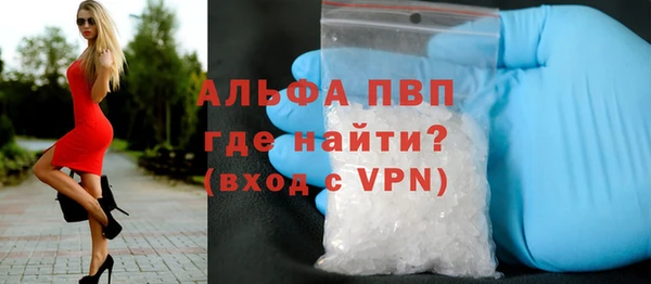 a pvp Магас