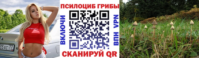 Галлюциногенные грибы ЛСД  blacksprut ссылки  Владикавказ 