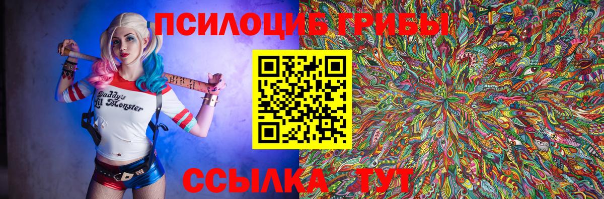 Галлюциногенные грибы Cubensis Владикавказ