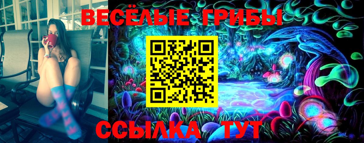 Псилоцибиновые грибы мицелий  Вход с VPN  Владикавказ 