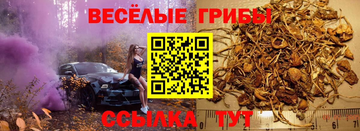 Конопля Владикавказ